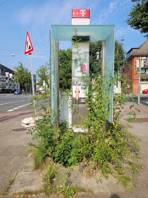 alte Telefonzelle 1